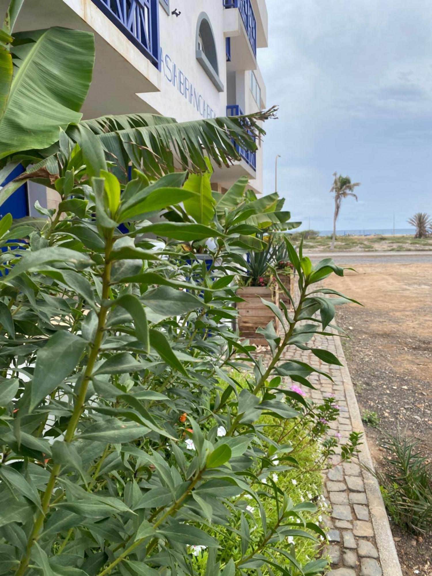 Casa Branca Beach Santa Maria Exteriör bild